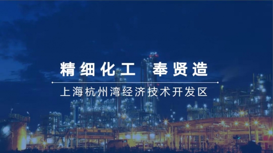 SLTA組織會員單位考察上海化學工業(yè)區(qū)奉賢分區(qū)