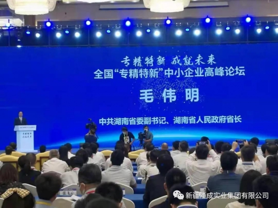 新疆金雪馳科技股份有限公司參加全國專精特新中小企業(yè)高峰論壇 中國潤滑油網